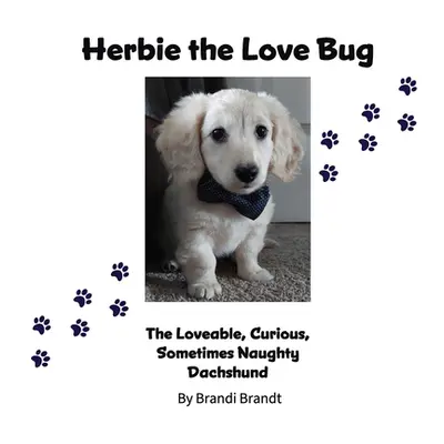 "Herbie the Love Bug" - "" ("Brandt Brandi")