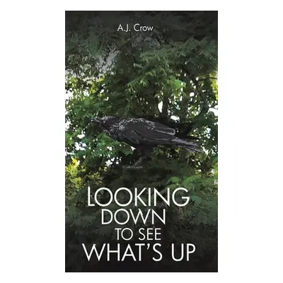 "Looking Down to See What's Up" - "" ("Crow A. J.")