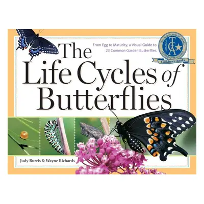 "The Life Cycles of Butterflies: From Egg to Maturity, a Visual Guide to 23 Common Garden Butter