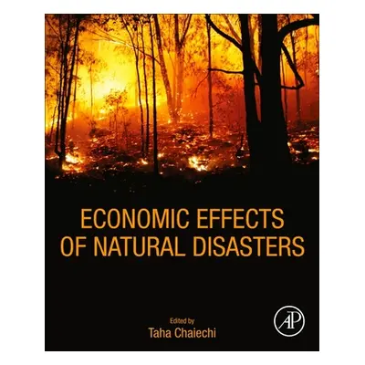 "Economic Effects of Natural Disasters: Theoretical Foundations, Methods, and Tools" - "" ("Chai