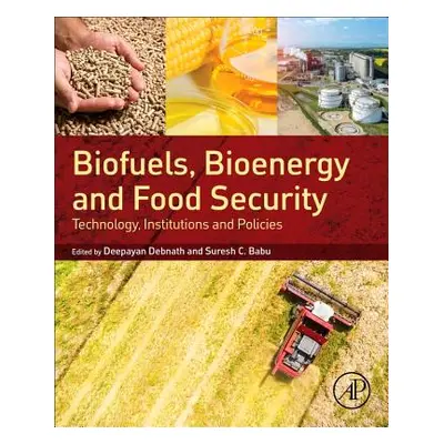 "Biofuels, Bioenergy and Food Security: Technology, Institutions and Policies" - "" ("Debnath De