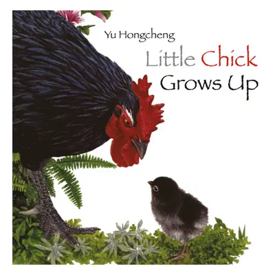 "Little Chick Grows Up" - "" ("Hongcheng Yu")