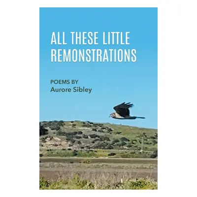 "All These Little Remonstrations" - "" ("Sibley Aurore")