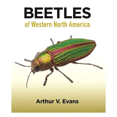 "Beetles of Western North America" - "" ("Evans Arthur V.")