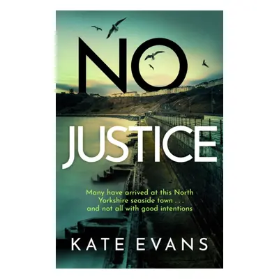 No Justice (Evans Kate)