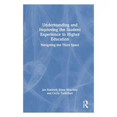 "Understanding and Improving the Student Experience in Higher Education: Navigating the Third Sp