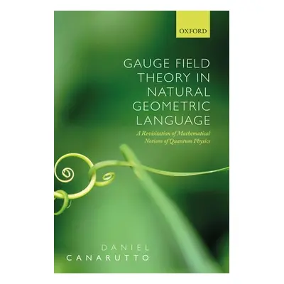 "Gauge Field Theory in Natural Geometric Language: A Revisitation of Mathematical Notions of Qua