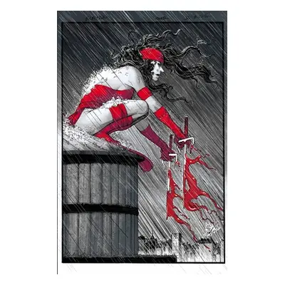 "Elektra: Black, White & Blood Treasury Edition" - "" ("Soule Charles")