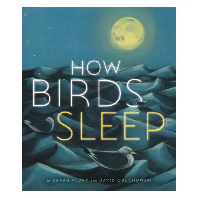 "How Birds Sleep" - "" ("Obuchowski David")