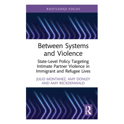 "Between Systems and Violence: State-Level Policy Targeting Intimate Partner Violence in Immigra