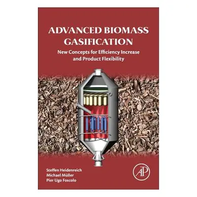 "Advanced Biomass Gasification: New Concepts for Efficiency Increase and Product Flexibility" - 