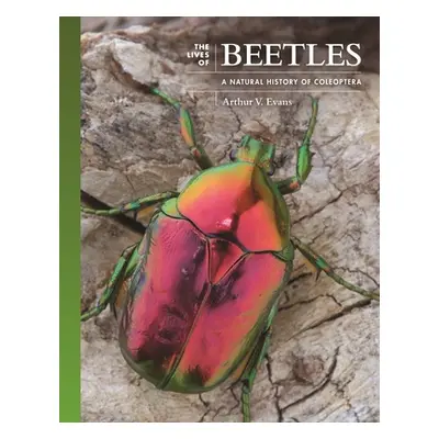 "The Lives of Beetles: A Natural History of Coleoptera" - "" ("Evans Arthur V.")