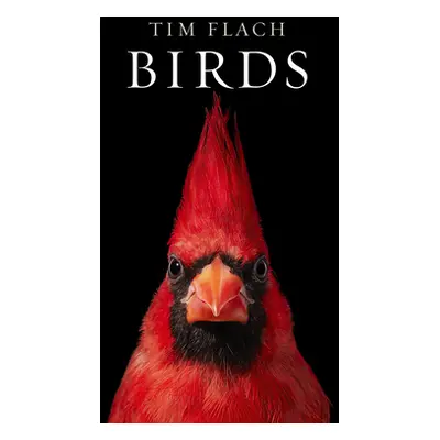 "Birds" - "" ("Flach Tim")