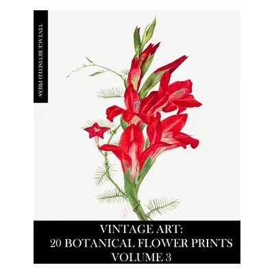 "Vintage Art: 20 Botanical Flower Prints Volume 3: Ephemera for Framing, Junk Journals, Mixed Me