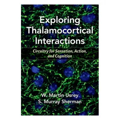 "Exploring Thalamocortical Interactions: Circuitry for Sensation, Action, and Cognition" - "" ("