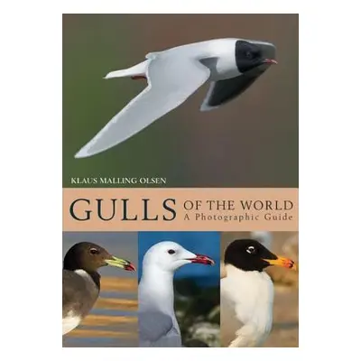 "Gulls of the World: A Photographic Guide" - "" ("Olsen Klaus Malling")