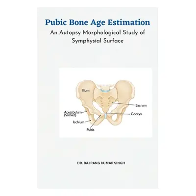 "Pubic Bone Age Estimation An Autopsy Morphological Study of Symphysial Surface" - "" ("Singh Ba