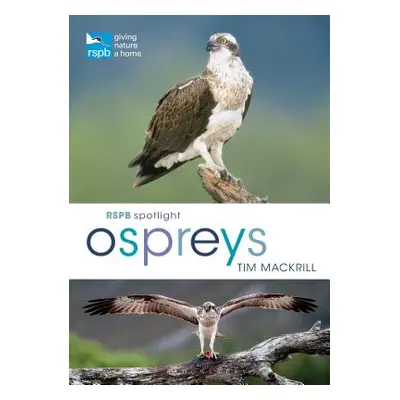 "Rspb Spotlight Osprey" - "" ("Mackrill Tim")