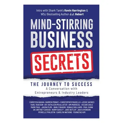 "Mind-Stirring Business Secrets: The Journey to Success: A Conversation with Entrepreneurs & Ind