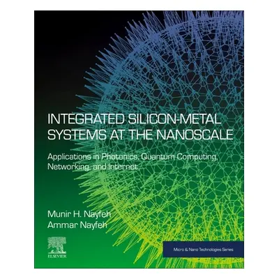 "Integrated Silicon-Metal Systems at the Nanoscale: Applications in Photonics, Quantum Computing