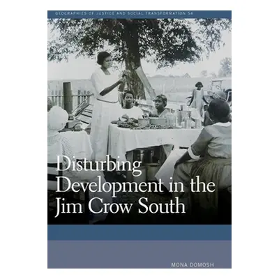 "Disturbing Development in the Jim Crow South" - "" ("Domosh Mona")