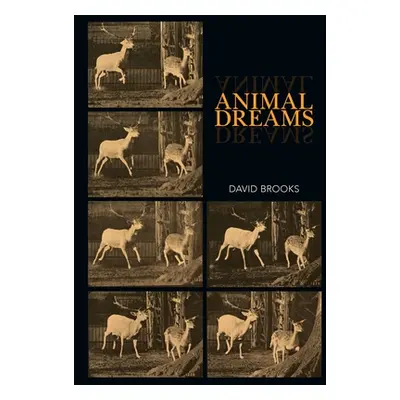 "Animal Dreams" - "" ("Brooks David")