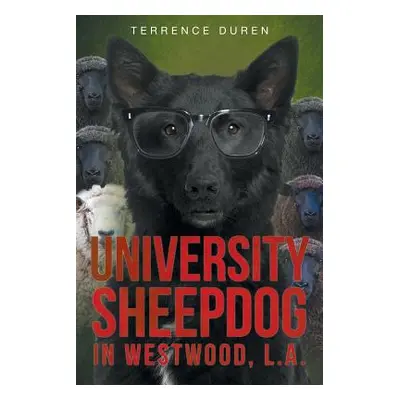 "University Sheepdog in Westwood, L.A." - "" ("Duren Terrence")