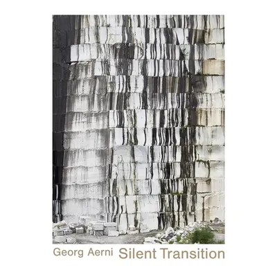 "Georg Aerni--Silent Transition: New Works" - "" ("Pfrunder Peter")