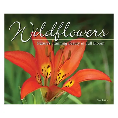 "Wildflowers: Nature's Stunning Beauty on Display" - "" ("Tekiela Stan")