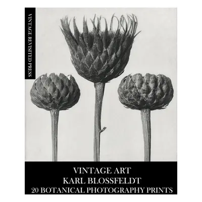 "Vintage Art: Karl Blossfeldt 20 Botanical Photography Prints" - "" ("Press Vintage Revisited")