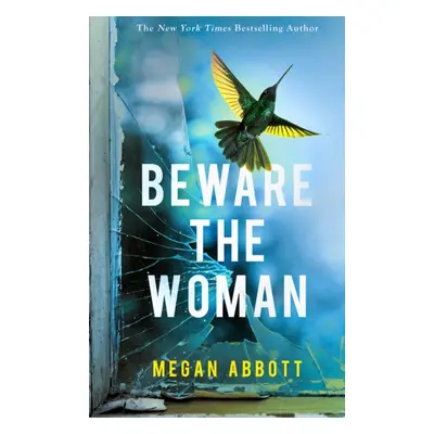 Beware the Woman - The twisty, unputdownable new thriller about family secrets for 2023 by the N