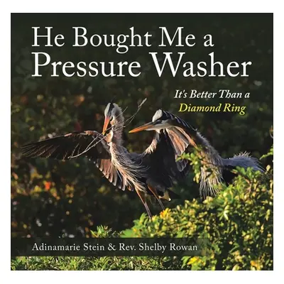 "He Bought Me a Pressure Washer: It's Better Than a Diamond Ring" - "" ("Stein Adinamarie")