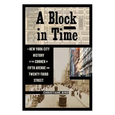 "A Block in Time: A New York City History at the Corner of Fifth Avenue and Twenty-Third Street"