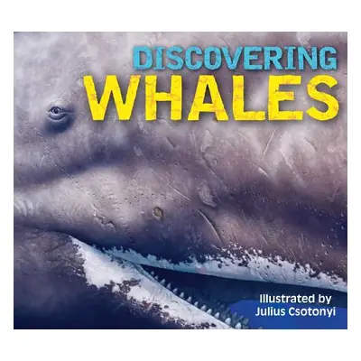 "Discovering Whales, Dolphins & Porpoises" - "" ("Gauthier Kelly")