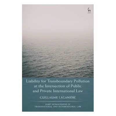 "Liability for Transboundary Pollution at the Intersection of Public and Private International L