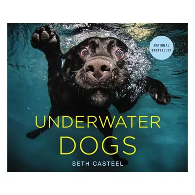 "Underwater Dogs" - "" ("Casteel Seth")