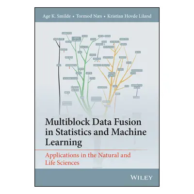 "Multiblock Data Fusion in Statistics and Machine Learning: Applications in the Natural and Life