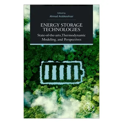 "Future Grid-Scale Energy Storage Solutions: Mechanical and Chemical Technologies and Principles