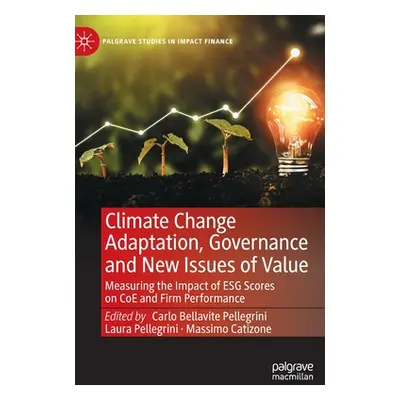 "Climate Change Adaptation, Governance and New Issues of Value: Measuring the Impact of ESG Scor