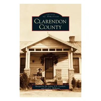 "Clarendon County" - "" ("Delaine M. L.")