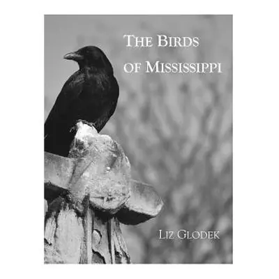 "The Birds of Mississippi" - "" ("Glodek Liz")