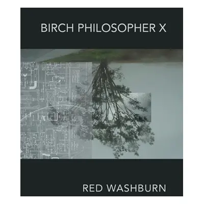 "Birch Philosopher X" - "" ("Washburn Red")