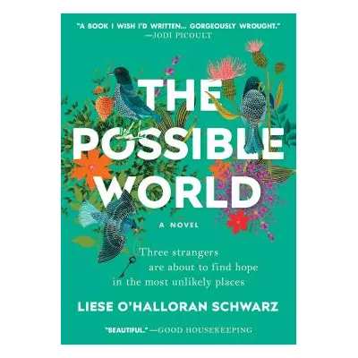 "The Possible World" - "" ("Schwarz Liese O'Halloran")