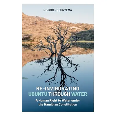 "Re-Invigorating Ubuntu Through Water: A Human Right to Water under the Namibian Constitution" -