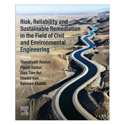 "Risk, Reliability and Sustainable Remediation in the Field of Civil and Environmental Engineeri