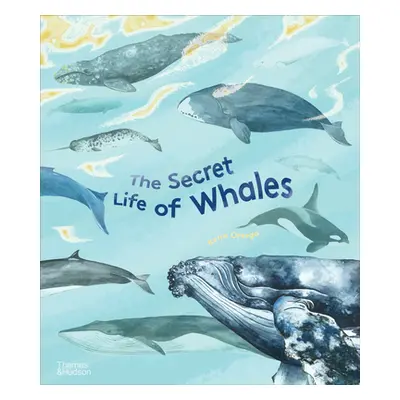 "The Secret Life of Whales" - "" ("Ortega Rena")