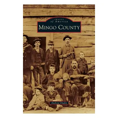 "Mingo County" - "" ("Chafin Andrew")