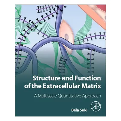 "Structure and Function of the Extracellular Matrix: A Multiscale Quantitative Approach" - "" ("