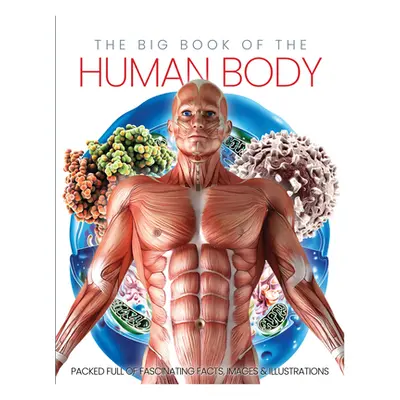 "The Big Book of the Human Body" - "" ("Marsh Katharine")