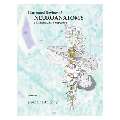 "Illustrated Review of Neuroanatomy: 3 Dimensional Perspective" - "" ("Anthony Ph. D. Josephine"